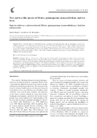 Tree and Tree-Like Species of Mexico: Gymnosperms, Monocotyledons, and Tree Ferns
