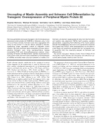 Uncoupling of Myelin Assembly and Schwann Cell Differentiation by Transgenic Overexpression of Peripheral Myelin Protein 22