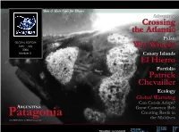 Crossing the Atlantic War Wrecks El Hierro Patrick Chevailler