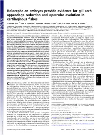 Holocephalan Embryos Provide Evidence for Gill Arch Appendage Reduction and Opercular Evolution in Cartilaginous ﬁshes