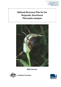 Pterostylis Aenigma