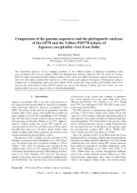 Comparison of the Genome Sequences and the Phylogenetic Analyses of the GP78 and the Vellore P20778 Isolates of Japanese Encephalitis Virus from India