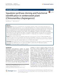 Squalene Synthase Cloning and Functional Identification in Wintersweet Plant (Chimonanthus Zhejiangensis)