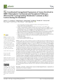 The Coordinated Upregulated Expression of Genes Involved In