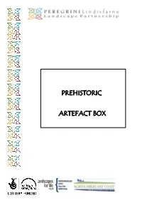 Prehistoric Artefact Box: Complete Box