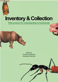 IDENTIFICATION GUIDE to the ANT GENERA of BORNEO Yoshiaki HASHIMOTO