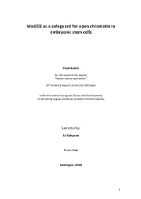 Mad2l2 As a Safeguard for Open Chromatin in Embryonic Stem Cells