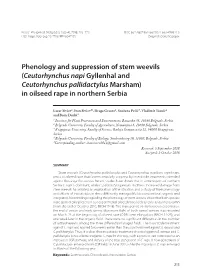 Phenology and Suppression of Stem Weevils (Ceutorhynchus Napi Gyllenhal and Ceutorhynchus Pallidactylus Marsham) in Oilseed Rape in Northern Serbia