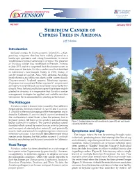 Seiridium Canker of Cypress Trees in Arizona Jeff Schalau
