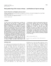 Sperm Penetration and Early Patterning in the Mouse 5805