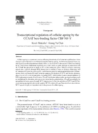 Transcriptional Regulation of Cellular Ageing by the CCAAT Box-Binding