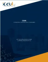 Consultoria Capacitación Y Consumibles Sap Fiori Openui5 Development Contenido Programatico