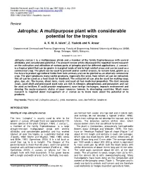 Jatropha: a Multipurpose Plant with Considerable Potential for the Tropics