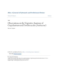 Observations on the Vegetative Anatomy of Crepidiastrum and Dendrocacalia (Asteraceae) Sherwin Carlquist
