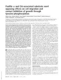 Paxillin and Crk-Associated Substrate Exert Opposing Effects on Cell Migration and Contact Inhibition of Growth Through Tyrosine