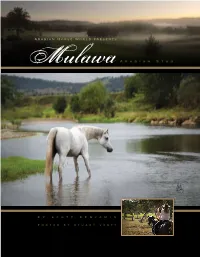A R a B I a N S T U D Arabian Horse World Presents