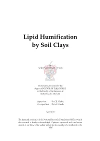 Lipid Humification by Soil Clays