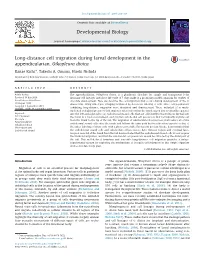Long-Distance Cell Migration During Larval Development in the Appendicularian, Oikopleura Dioica