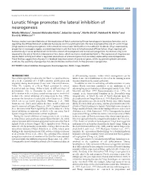 Lunatic Fringe Promotes the Lateral Inhibition of Neurogenesis Nikolas Nikolaou1, Tomomi Watanabe-Asaka1, Sebastian Gerety1, Martin Distel2, Reinhard W