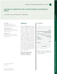 Late Jurassic Aptychi from the La Caja Formation of Northeastern Mexico