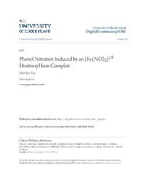 10 Dinitrosyl Iron Complex