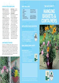 HTA – Hanging Baskets & Containers Guide