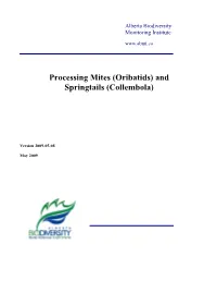 10010 Processing Mites and Springtails