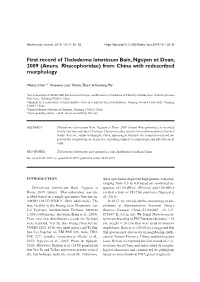 First Record of Theloderma Lateriticum Bain, Nguyen Et Doan, 2009 (Anura Rhacophoridae) from China with Redescribed Morphology