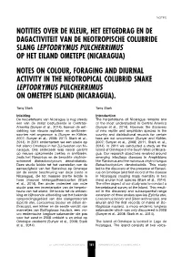 Notes on Colour, Foraging and Diurnal Activity in the Neotropical Colubrid Snake Leptodrymus Pulcherrimus on Ometepe Island (Nicaragua)