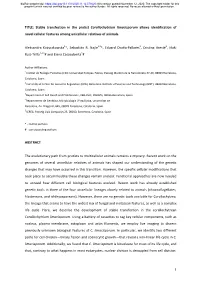 Stable Transfection in the Protist Corallochytrium Limacisporum Allows Identification of Novel Cellular Features Among Unicellular Relatives of Animals