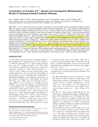 An Investigative Mathematical Model of Calcium-Induced Calcium Release