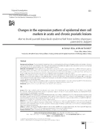 Changes in the Expression Pattern of Epidermal Stem Cell Markers In
