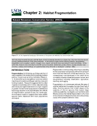 Chapter 2: Habitat Fragmentation