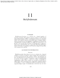 Free Executive Summary