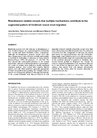Rhombomere Rotation Reveals That Multiple Mechanisms Contribute to the Segmental Pattern of Hindbrain Neural Crest Migration