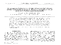 Swimming Behaviour of Developmental Stages of the Calanoid Copepod Temora Longicornis at Different Food Concentrations