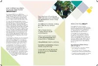 Why Is Rema-Kalenga Wildlife Sanctuary Important? How Can You Help?