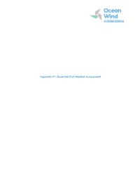 Appendix P – Essential Fish Habitat Assessment
