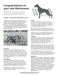 Congratulations on Your New Weimaraner