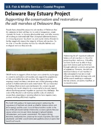 Delaware Bay Estuary Project Supporting the Conservation and Restoration Of