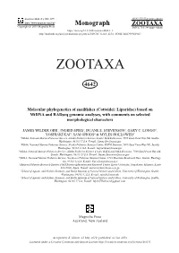 Molecular Phylogenetics of Snailfishes (Cottoidei: Liparidae) Based on Mtdna and Radseq Genomic Analyses, with Comments on Selected Morphological Characters