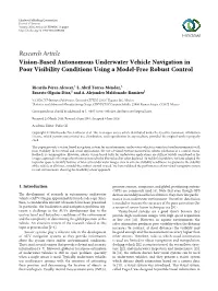 Vision-Based Autonomous Underwater Vehicle Navigation in Poor Visibility Conditions Using a Model-Free Robust Control