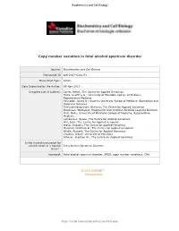 Copy Number Variation in Fetal Alcohol Spectrum Disorder