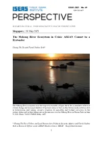 The Mekong River Ecosystem in Crisis: ASEAN Cannot Be a Bystander