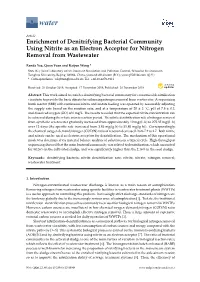 Enrichment of Denitrifying Bacterial Community Using Nitrite As an Electron Acceptor for Nitrogen Removal from Wastewater
