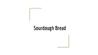 Sourdough Bread What Is Sourdough Bread?