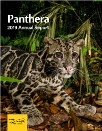 2019 Annual Report Panthera’S Mission Is to Ensure a Future for Wild Cats and the Vast Landscapes on Which They Depend