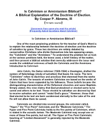 Calvinism Or Arminianism? They Have Both Led to Confusion, Division and False Teaching