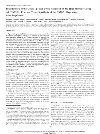 Identification of the Genes Up- and Down-Regulated by the High Mobility Group A1 (HMGA1) Proteins: Tissue Specificity of the HMGA1-Dependent Gene Regulation