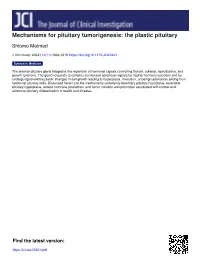 Mechanisms for Pituitary Tumorigenesis: the Plastic Pituitary